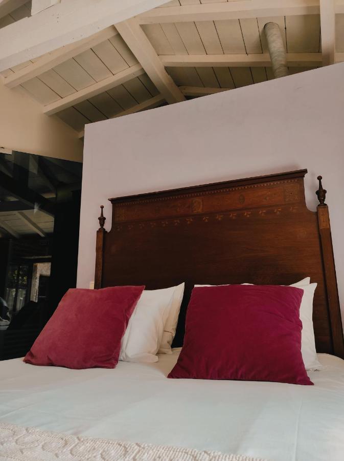 Casas Da Quinta Da Cancela Balugães المظهر الخارجي الصورة